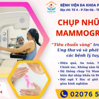 CHỤP NHŨ ẢNH MAMMOGRAPHY – TIÊU CHUẨN VÀNG TẦM SOÁT UNG THƯ VÚ